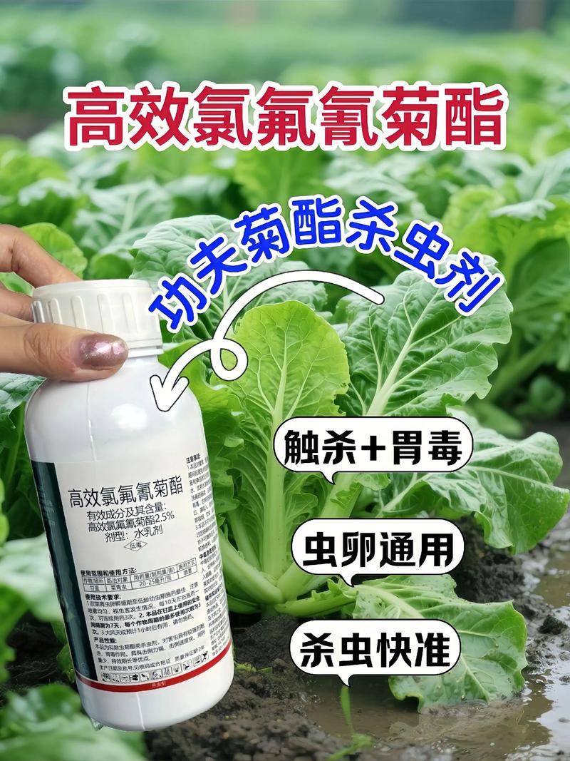 清远代生中心:农药对供卵代生妈妈的危害